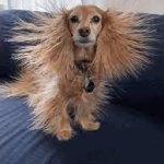 Static electricity template
