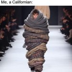 *sips hot tea* | *Temperature is 47°F outside*; Me, a Californian: | image tagged in scarf scarfs,scarf,scarfs,california,spring | made w/ Imgflip meme maker