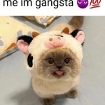 Im a gangsta | Don't "awww" me im gangsta 😈💯 | image tagged in gangsta,memes,funny,silly,goober,gamg member activity | made w/ Imgflip meme maker