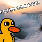 The duck in Niagara falls | GREETINGS FROM NIAGARA FALLS! | image tagged in niagara falls,duck,the duck song | made w/ Imgflip meme maker