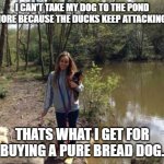Daily Bad Dad Joke March 25,2024 | I CAN'T TAKE MY DOG TO THE POND ANYMORE BECAUSE THE DUCKS KEEP ATTACKING HIM. THATS WHAT I GET FOR BUYING A PURE BREAD DOG. | image tagged in dog pond | made w/ Imgflip meme maker