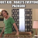 this is underaged right? | QUIET KID: *ROASTS EVERYONE*
PACKGOD: | image tagged in are you challenging me,quiet kid | made w/ Imgflip meme maker
