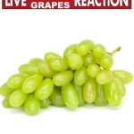 Live Green Grapes Reaction