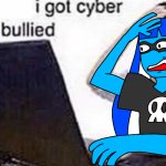 I got cyber bullied
