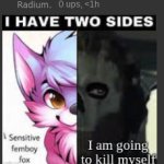 Radium Femboy Fox meme