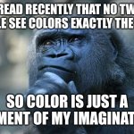Deep Thoughts | I READ RECENTLY THAT NO TWO PEOPLE SEE COLORS EXACTLY THE SAME; SO COLOR IS JUST A PIGMENT OF MY IMAGINATION | image tagged in deep thoughts | made w/ Imgflip meme maker