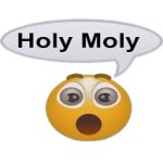 Holay Molay