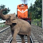 Republican elephant gets run over by a Democratic train meme