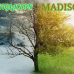 Thebestglaceon, Madison shared announcement template