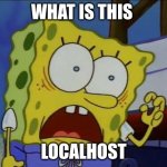 Spongebob Used Me | WHAT IS THIS; LOCALHOST | image tagged in spongebob used me | made w/ Imgflip meme maker