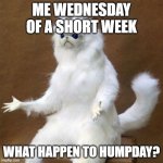 cat poof humpday is gone | ME WEDNESDAY OF A SHORT WEEK; WHAT HAPPEN TO HUMPDAY? | image tagged in cat poof,humpday,wednesday,gone | made w/ Imgflip meme maker