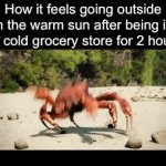 It’s Winn Dixie most of the time | How it feels going outside in the warm sun after being in the cold grocery store for 2 hours: | image tagged in gifs,memes,cold | made w/ Imgflip video-to-gif maker