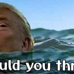 Trump Drowning