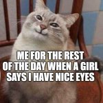 Smug waffle cat | ME FOR THE REST OF THE DAY WHEN A GIRL SAYS I HAVE NICE EYES | image tagged in smug waffle cat | made w/ Imgflip meme maker