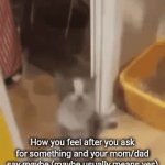 Yes | How you feel after you ask for something and your mom/dad say maybe (maybe usually means yes) | image tagged in gifs,memes,funny,cats,parents,relatable | made w/ Imgflip video-to-gif maker