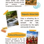 Shimba Hills National Reserve Tour