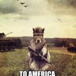welcome to america | WELCOME; TO AMERICA, WERE IN THE TREES | image tagged in soldier squirrel | made w/ Imgflip meme maker