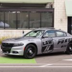 police car