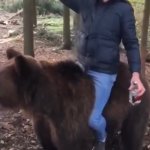 Bear back ride | ME:; EVERYBODY:  BEARS ARE DANGEROUS | image tagged in bear back ride | made w/ Imgflip meme maker