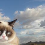 Grumpy Cat Sky meme