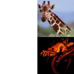 Zoochosis Giraffe meme