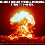 Nuke | THERE WAS A SPIDER IN MY HOUSE, AND I PANICKED.
I THINK IT'S GONE NOW. | image tagged in nuke | made w/ Imgflip meme maker