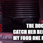 I'm gonna beat her sorry ass so hard she'll be pissing blood out of her ass | ME:; THE DOG IF I CATCH HER BEGGING FOR MY FOOD ONE MORE TIME | image tagged in gifs,shadow the hedgehog,pets can be jerks sometimes,relatable,shits gonna hit the fan so high it'll make your head spin,savage | made w/ Imgflip video-to-gif maker