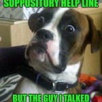 Surprised Dog | I PHONED THE SUPPOSITORY HELP LINE; BUT THE GUY I TALKED TO WAS DOWNRIGHT RUDE! | image tagged in surprised dog | made w/ Imgflip meme maker
