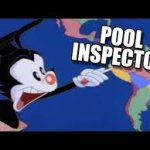 Pool inspector