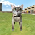 kitr meme