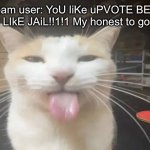 To anyone that tries to hate me over this: I don't care about this anymore, and also touch grass | Fun stream user: YoU liKe uPVOTE BEGgInG? hOPe YoU LIkE JAiL!!1!1 My honest to god reaction: | image tagged in milly the silly cat bleh cat,memes | made w/ Imgflip meme maker