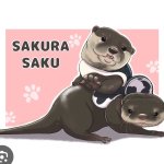 Sakura Saku Channel OtterPedia Wiki Fandom