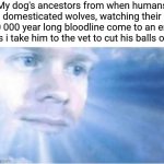 Real | My dog's ancestors from when humans domesticated wolves, watching their 30 000 year long bloodline come to an end as i take him to the vet to cut his balls off | image tagged in in heaven looking down,memes,funny,dogs,funny memes,bruh | made w/ Imgflip meme maker
