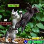 Mortal Kombat | FATALITY! ME; FINISH HIM! ROUND 1; CAT KOMBAT | image tagged in mortal kombat | made w/ Imgflip meme maker