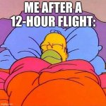 ong fr | ME AFTER A 12-HOUR FLIGHT: | image tagged in homer napping | made w/ Imgflip meme maker