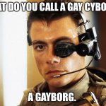 Gayborg | WHAT DO YOU CALL A GAY CYBORG? A GAYBORG. | image tagged in cyborg/ universal soldier | made w/ Imgflip meme maker
