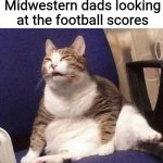Squinting cat | Midwestern dads looking at the football scores | image tagged in squinting cat | made w/ Imgflip meme maker