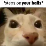 oops | steps on | image tagged in x your balls | made w/ Imgflip meme maker
