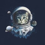 Cat in Space