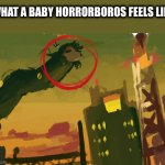 Baby Horrorboros possibility | WHAT A BABY HORRORBOROS FEELS LIKE | image tagged in longkii in splatoon,kirby,splatoon | made w/ Imgflip meme maker