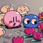 The Conflict between Flowers and Mushrooms in Kirby Games