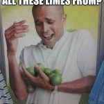 Why Can't I Hold All These Limes | WHERE DID I GET ALL THESE LIMES FROM? | image tagged in memes,why can't i hold all these limes | made w/ Imgflip meme maker