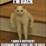 Buff Cat | I'M BACK; I HAVE A DIFFERENT USERNAME BUT TRUST ME I'M BACK | image tagged in buff cat | made w/ Imgflip meme maker