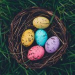 Easter colourful eggs template