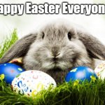 Happy Easter | Happy Easter Everyone! | image tagged in easter bunny | made w/ Imgflip meme maker