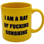 I'm a ray of f***ing sunshine mug meme