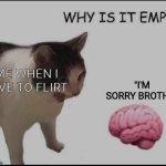 I'm sorry brotha | "I'M SORRY BROTHA"; ME WHEN I HAVE TO FLIRT | image tagged in why is it empty,brain,love,flirt,sof,a | made w/ Imgflip meme maker