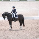 Dressage