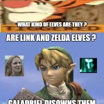 tigger knows elves | WHAT KIND OF ELVES ARE THEY ? | image tagged in zelda elves,tigger,nintendo,winnie the pooh,disney,elf | made w/ Imgflip meme maker