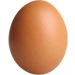 Egg